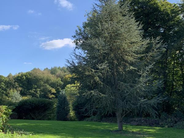 Le Brévedent (14130) MAISON type chalet