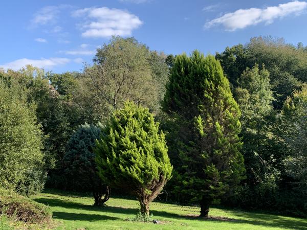 Le Brévedent (14130) MAISON type chalet