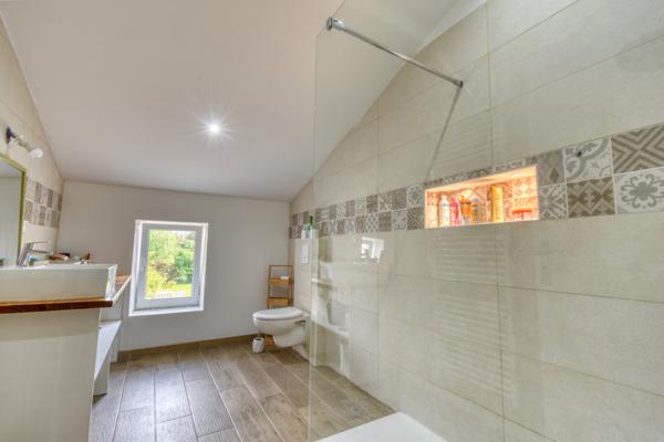 Tonnay-Charente (17430) Grande maison familiale avec dépendance et piscine