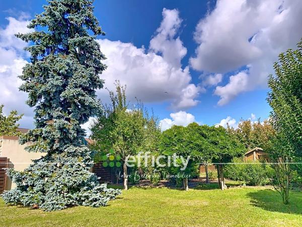 Maison 5 pièces - 177 m²