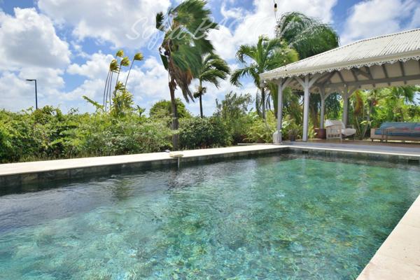 SAINTE-LUCE – Villa P7 avec piscine 7 x 4 m, Carbet - Terrasses XL et vie de plain-pied – Terrain plat 1 244 m² - (972)