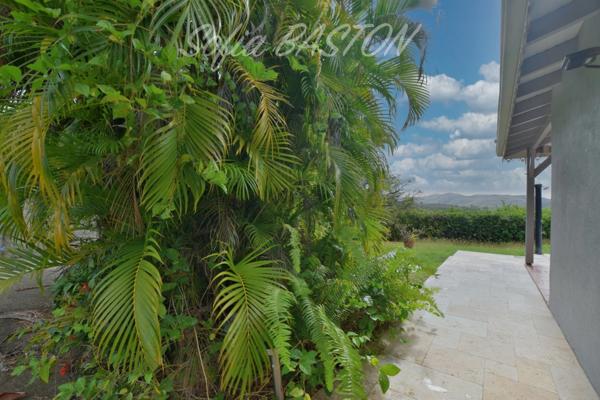 SAINTE-LUCE – Villa P7 avec piscine 7 x 4 m, Carbet - Terrasses XL et vie de plain-pied – Terrain plat 1 244 m² - (972)