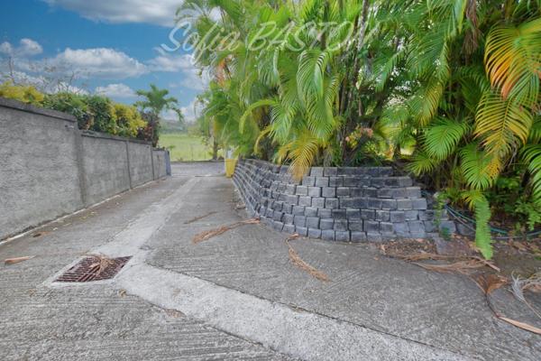 SAINTE-LUCE – Villa P7 avec piscine 7 x 4 m, Carbet - Terrasses XL et vie de plain-pied – Terrain plat 1 244 m² - (972)