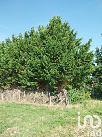 Terrain à vendre 3 300 m² Cazes-Mondenard