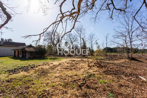 A VENDRE - Grand Terrain Biscarrosse 1706 m²