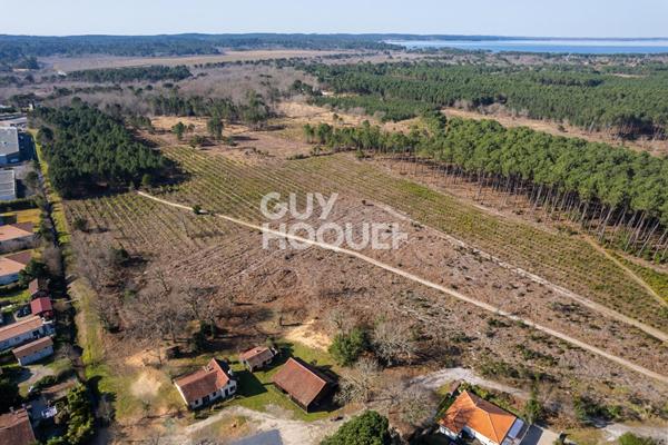 A VENDRE - Grand Terrain Biscarrosse 1706 m²