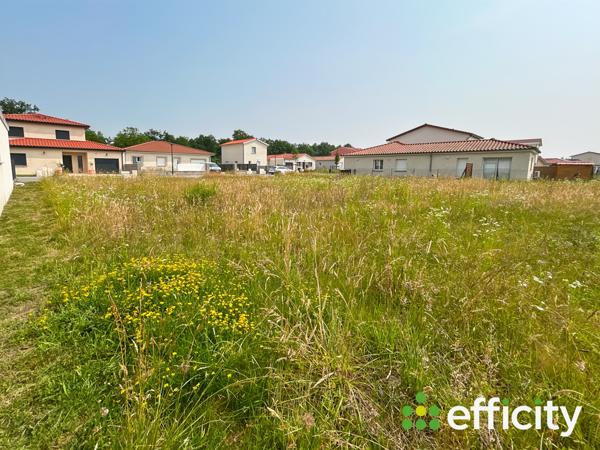 Terrain - 316 m² Exclusivité efficity