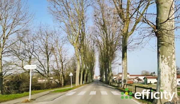 Terrain - 316 m² Exclusivité efficity