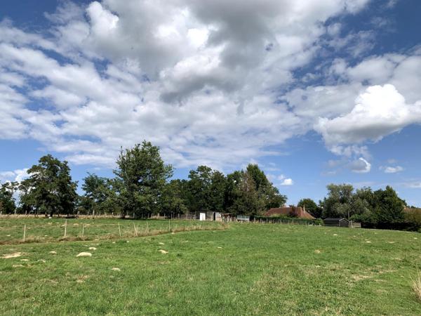 Magnifique ferme Bressane avec étang