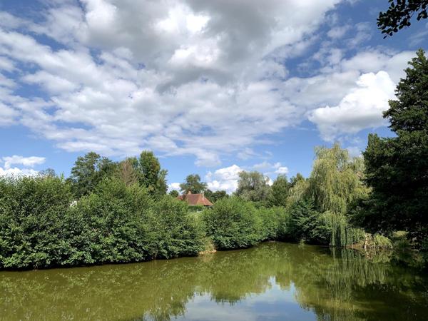 Magnifique ferme Bressane avec étang