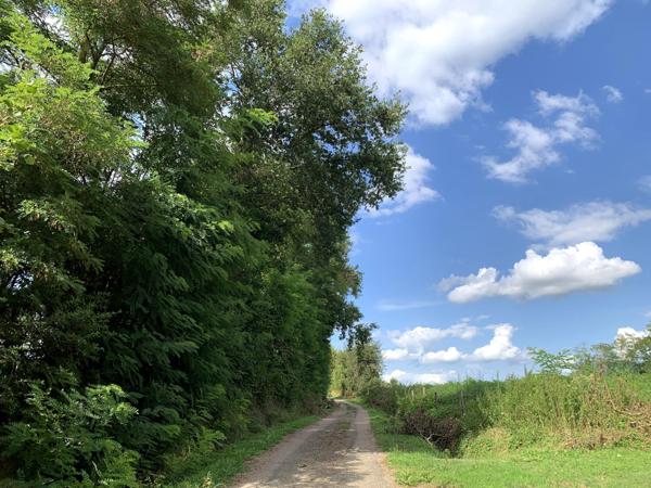 Magnifique ferme Bressane avec étang