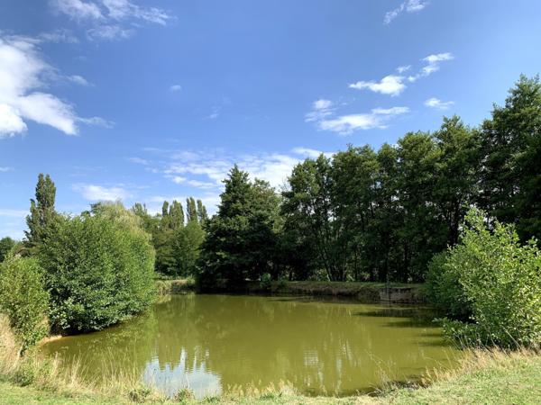 Magnifique ferme Bressane avec étang