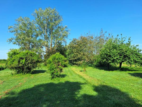 🏡 Maison familiale 4 chambres de 122 m² sur 3200 m² de terrain à Riscle