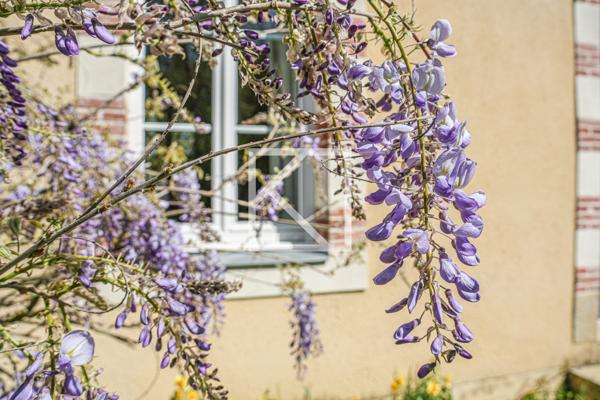 Belle maison familiale rénovée