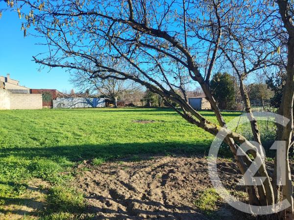 Maison à vendre  8 pièces - 197,75 m 2   RIEUX MINERVOIS  - 11