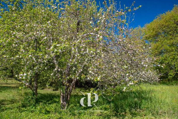 Mauvezin (32120) Maison de campagne rénovée à proximité des commodités