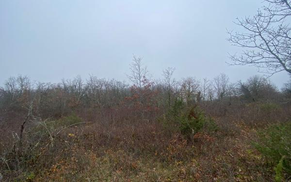 Terrain à vendre    Bach