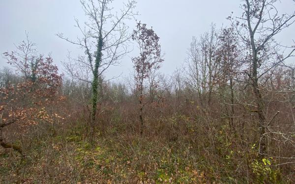 Terrain à vendre    Bach