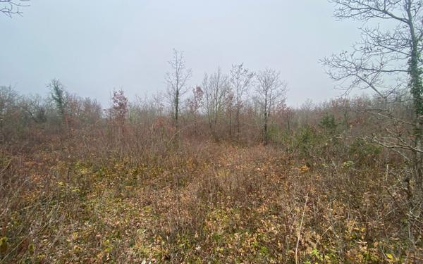 Terrain à vendre    Bach