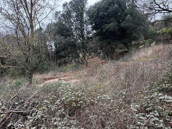 Vente Terrain 6290 m2 à Le Bosc