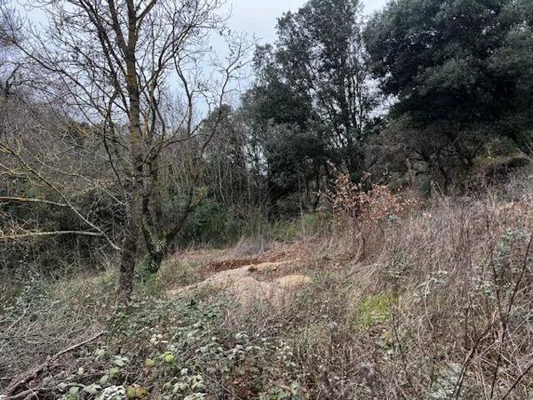Vente Terrain 6290 m2 à Le Bosc