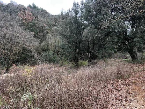 Vente Terrain 6290 m2 à Le Bosc