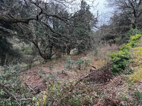 Vente Terrain 6290 m2 à Le Bosc