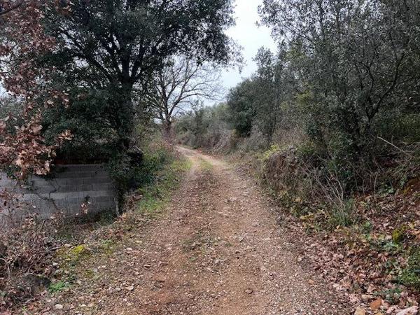 Vente Terrain 6290 m2 à Le Bosc