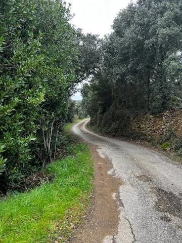 Vente Terrain 6290 m2 à Le Bosc