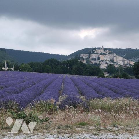Vente Maison à Banon