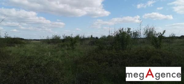 Terrain à IZOTGES, 32400 - 4103m²