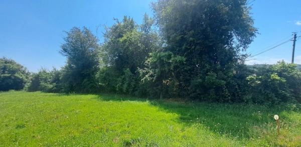 Terrain constructible +2500M2