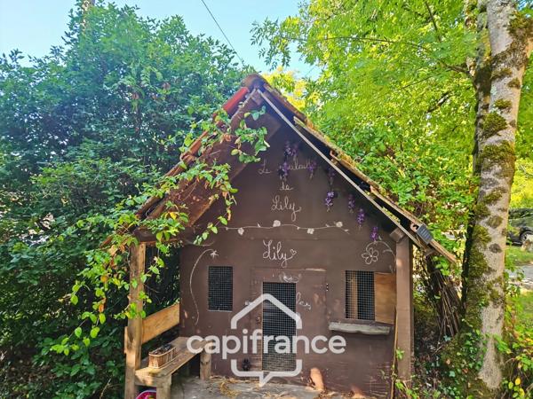 Domaine de charme, 1.7 hectares, 470 m² habitable, 20 couchages, roulotte, piscine, parc avec arbres centenaires