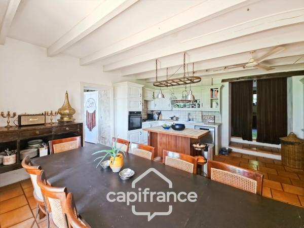 Domaine de charme, 1.7 hectares, 470 m² habitable, 20 couchages, roulotte, piscine, parc avec arbres centenaires