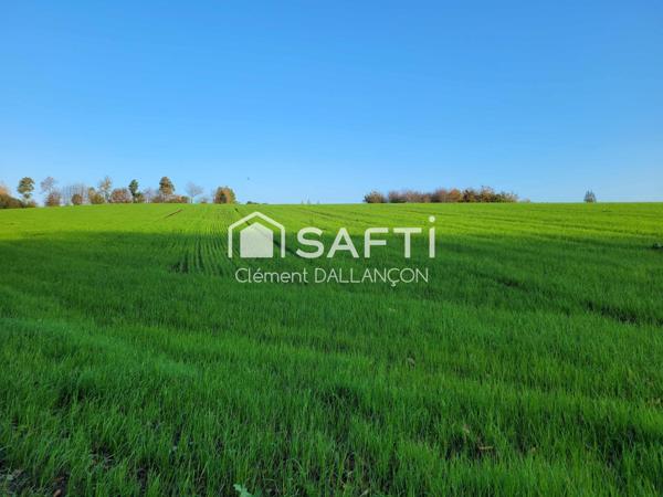 Corps de ferme de 325 m² habitables sur plus de 3 hectares – À 3 km d’Ernée (Mayenne) – Bien rare et plein de charme !