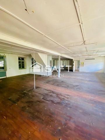 Magnifique propriété avec dépendances