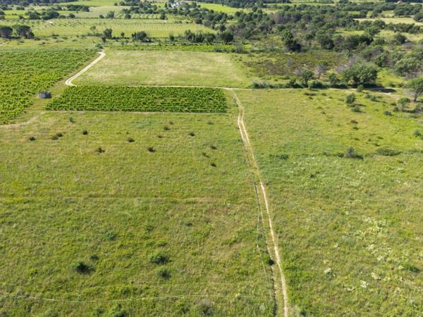 Vente / Terrain agricole