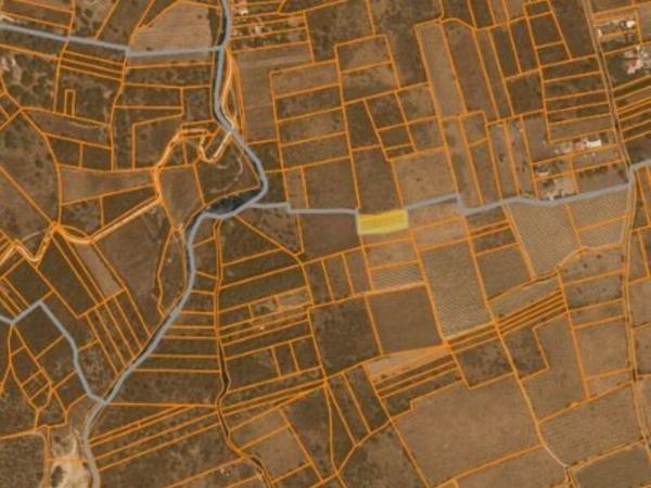Vente / Terrain agricole