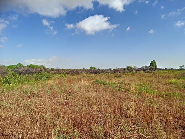 Vente / Terrain agricole