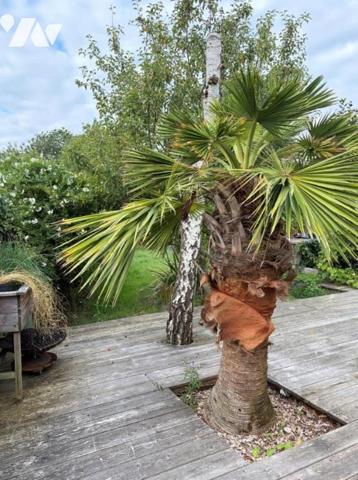 A VENDRE à REZE - TROIS MOULINS - Une Maison de 164m2 hab. avec jacuzzi et jardin de 595m2