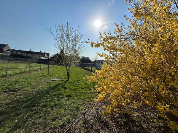 Maison à JEUMONT (59460)
