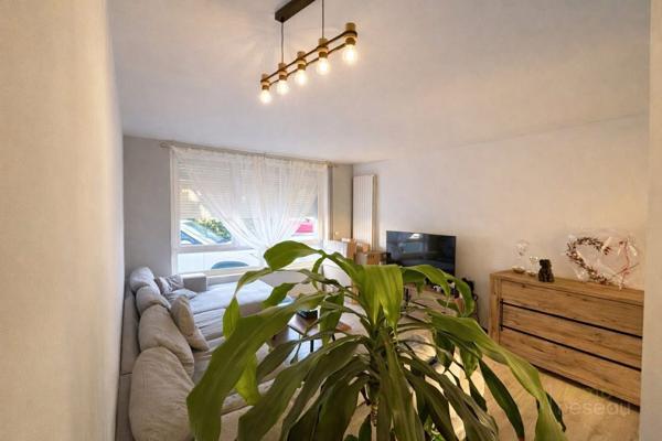 Maison à JEUMONT (59460)