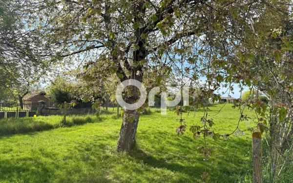 Terrain à vendre    Écuelles