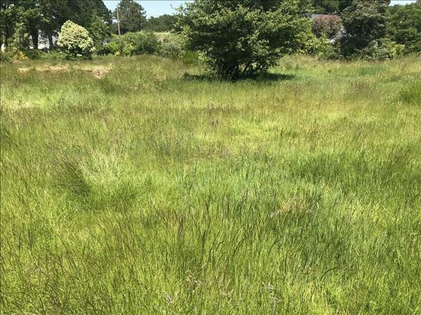 Terrain à vendre |  Moëlan-sur-Mer |  716 m²