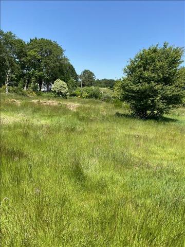 Terrain à vendre |  Moëlan-sur-Mer |  716 m²