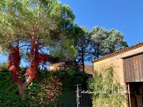 Maison familiale 242 m² avec piscine et dépendances – Cours-de-Pile, 7 km de Bergerac