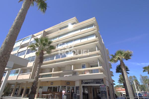 Appartement T1 Bis- Vue Canigou