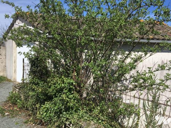 CELLES SUR BELLE PROCHE CENTRE