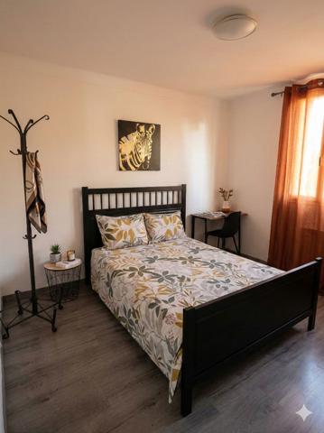 T5 idéal investissement locatif