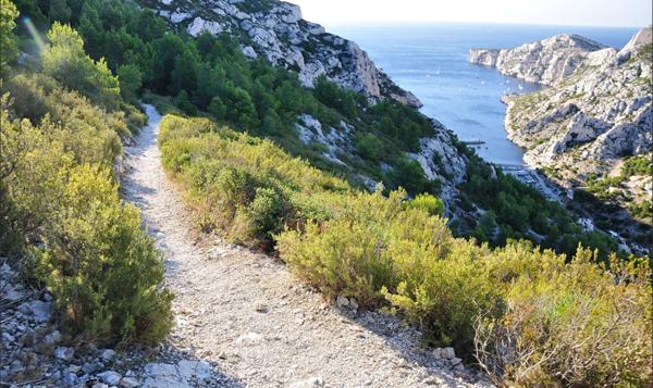 T5 idéal investissement locatif